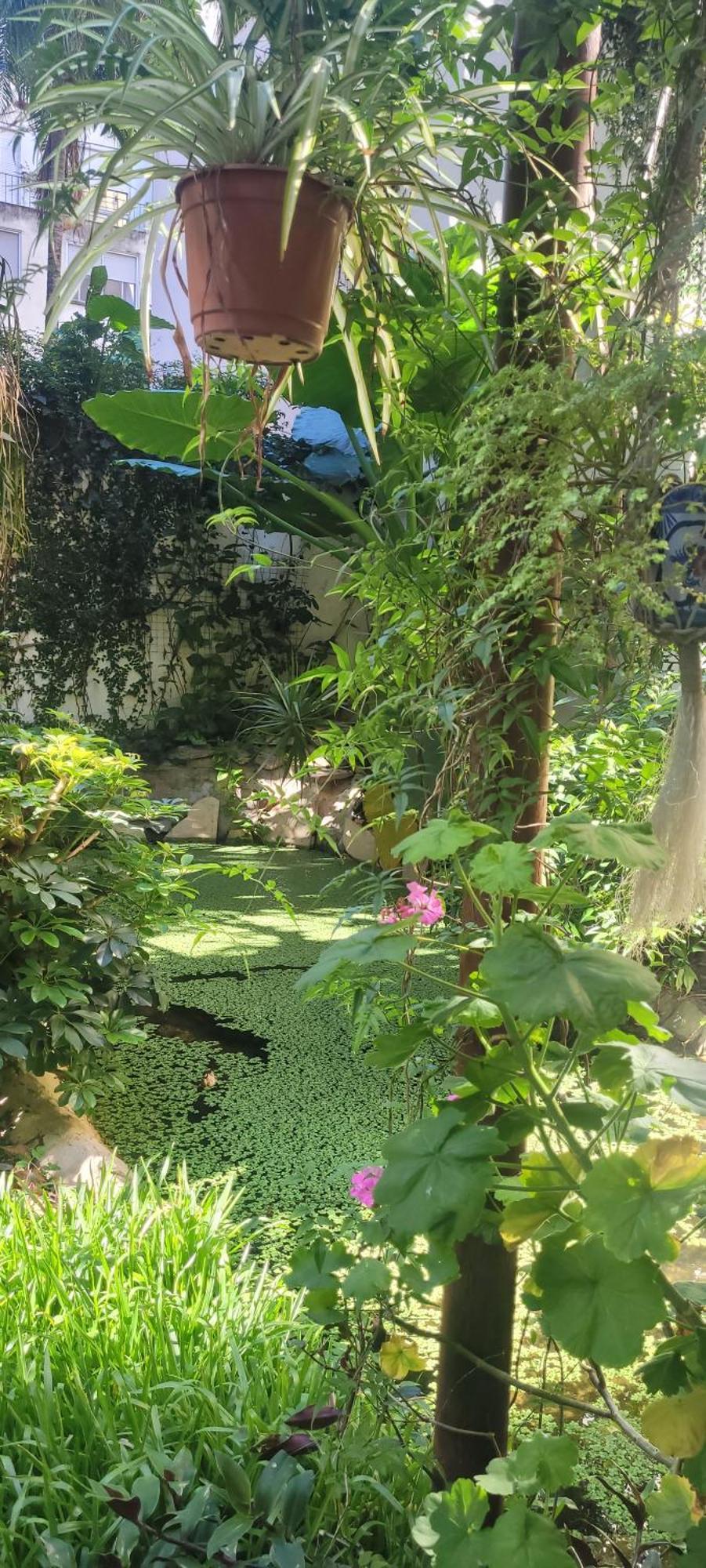 Belgrano Διαμέρισμα Μπουένος Άιρες Εξωτερικό φωτογραφία
